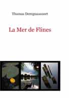 couverture du livre Mer de Flines crit par Deregnaucourt Thomas