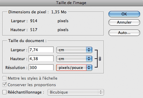 Cliquez pour voir l'image en taille réelle