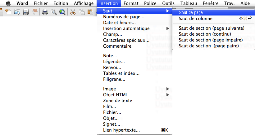 word saut de pages